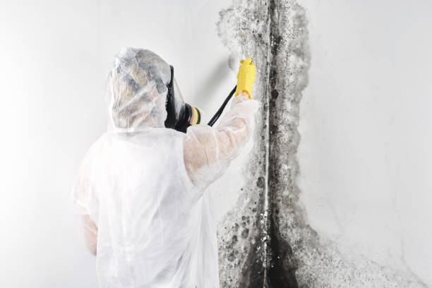 Best Residential water damage restoration  in Saukville, WI